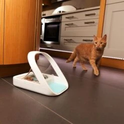 Comedero Automático SureFeed Microchip 14 Comedero Automático SureFeed Microchip -Paws Tienda 475256 surefeedmicrochip 3