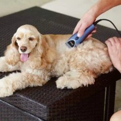 Set Máquina Cortapelo Para Mascotas Oster 220 V -Paws Tienda 53731 osterheimtierschermaschinen hs 12 3