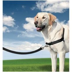 PetSafe® Easy Walk® Arnés Antitirones Para Perros -Paws Tienda 596657 ew s w hund 1