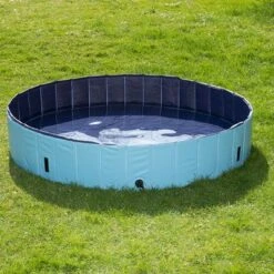Piscina Para Perros Keep Cool -Paws Tienda 60405 PLA Dog Pool Keep Cool 160 FG DSC4746 6