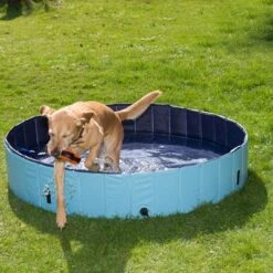 Piscina Para Perros Keep Cool -Paws Tienda 60405 dog pool mit hund 01 5