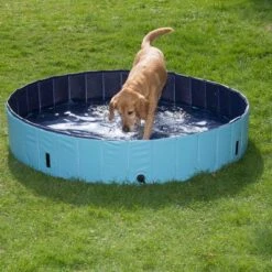 Piscina Para Perros Keep Cool -Paws Tienda 60405 dog pool mit hund 02 0