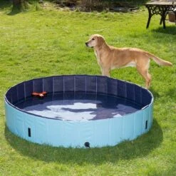 Piscina Para Perros Keep Cool -Paws Tienda 60405 dog pool mit hund 04 8