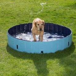 Piscina Para Perros Keep Cool -Paws Tienda 60405 dog pool mit hund 05 2