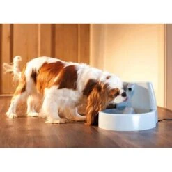 Fuente De Agua Para Mascotas Drinkwell Original De PetSafe 14 Fuente De Agua Para Mascotas Drinkwell Original De PetSafe -Paws Tienda 60939 dw o trinkbrunnen 1 5 hs 03 0