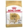 Royal Canin Labrador Retriever Adult -Paws Tienda 61151 pla royalcanin adulthund labradorretriever 0
