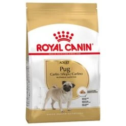 Royal Canin Carlino Adult