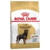 Royal Canin Rottweiler Adult -Paws Tienda 61166 pla royalcanin adulthund rottweiler 7