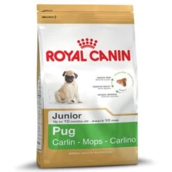 Royal Canin Carlino Puppy / Junior -Paws Tienda 61346 PLA rgb Royal Canin Pug Junior 6
