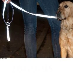 Correa Ajustable Y Reflectante Trixie Color Gris 11 Correa Ajustable Y Reflectante Trixie Color Gris -Paws Tienda 61857 trixie vleinepfoten4 1