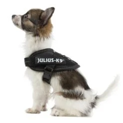 Julius K9 Arnés Julius-K9 IDC® Power Negro Para Perros 16 Julius K9 Arnés Julius-K9 IDC® Power Negro Para Perros -Paws Tienda 65467 julius k9 idc powergeschirr schwarz 7