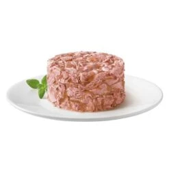 Gourmet Gold Tartelette 24 X 85 G -Paws Tienda 69003 purina gourmet gold raffiniertes ragout mit thunfisch 5