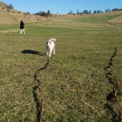 Correa De Rastreo Heim Engomada Para Perros -Paws Tienda 71830 supergrip outside fg 3561 5