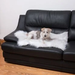 Smartpet Alfombra Para Perros Y Gatos -Paws Tienda 73343 kunstfell wei tier fg 9887 1