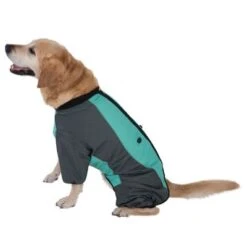 Abrigo Largo Overall II Para Perros -Paws Tienda 73483 hundeoverall mint fg 1000px 2914 7