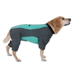 Abrigo Largo Overall II Para Perros -Paws Tienda 73483 hundeoverall mint fg 1000px 2923 4