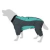 Abrigo Largo Overall II Para Perros -Paws Tienda 73483 hundeoverall mint fg 1000px 2928 9