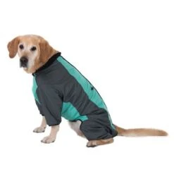 Abrigo Largo Overall II Para Perros -Paws Tienda 73483 hundeoverall mint fg 1000px 2931 2