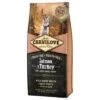 Carnilove Large Puppy Con Salmón Y Pavo -Paws Tienda 76846 pla carnilove puppylarge 12kg 1