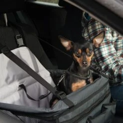 Asiento Para El Coche Booster 20 Asiento Para El Coche Booster -Paws Tienda 78030 autositz booster fg 6388 6