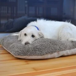 Cojín Ortopédico Pawz & Pepper Denver -Paws Tienda 78610 petlando pawzpepper hundekissen auroraortho hs 09 5