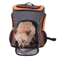 Mochila Voyage Para Mascotas -Paws Tienda 79332 rucksack voyage fg 7236 0