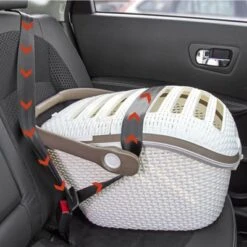 Transportín Curver Para Mascotas -Paws Tienda 79713 karlie curver transportbox hs 04 2