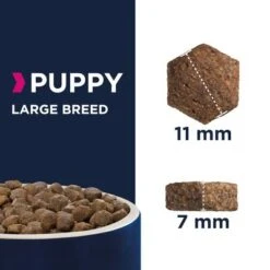 Eukanuba Puppy Large Breed Pollo -Paws Tienda 80449 eukanuba puppy large breed kibbles 0