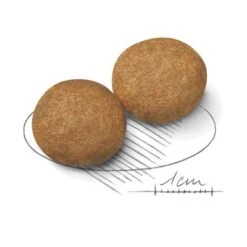 Royal Canin Medium Adult -Paws Tienda 80731 royalcanin mediumadult 15kg croc hs 02 7