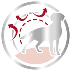 Royal Canin Medium Adult -Paws Tienda 80731 royalcanin mediumadult 15kg picto hs 03 6