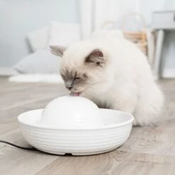 Bebedero Fuente Trixie Vital Flow De Cerámica -Paws Tienda 83797 trixie trinkbrunnen keramik vital flow mini hs 02 9