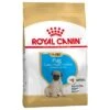 Royal Canin Carlino Puppy / Junior -Paws Tienda 84442 pla royalcanin puppyhund pug 6