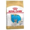 Royal Canin Bulldog Francés Puppy / Junior -Paws Tienda 84455 pla royalcanin puppyhund frenchbulldog 8