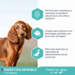 Eukanuba Daily Care Puppy Sensitive Digestion Con Pollo Y Pavo -Paws Tienda 8710255185088 2 4