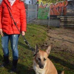 Julius K9 Correa Ajustable Julius-K9 IDC® Cordino Para Perros -Paws Tienda 89698 juliusk9 idcadjustableropeleash hs 11 2