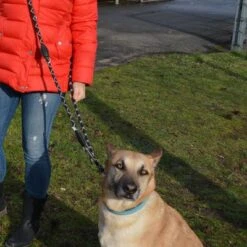 Julius K9 Correa Ajustable Julius-K9 IDC® Cordino Para Perros -Paws Tienda 89698 juliusk9 idcadjustableropeleash hs 12 1