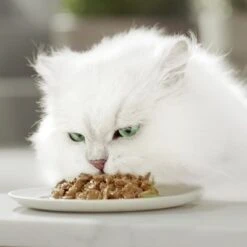 Gourmet Perle En Sobres 96 X 85 G 38 Gourmet Perle En Sobres 96 X 85 G -Paws Tienda 93300 gourmet perle megpack hs 03 6