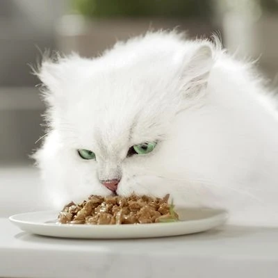 Gourmet Perle En Sobres 96 X 85 G 19 Gourmet Perle En Sobres 96 X 85 G - Imagen 17