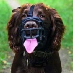 Bozal Baskerville Ultra 2.0 Con Cierres De Plástico 15 Bozal Baskerville Ultra 2.0 Con Cierres De Plástico -Paws Tienda 94512 maulkorb baskerville ultra hs15 6