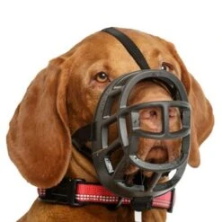 Bozal Baskerville Ultra 2.0 Con Cierres De Plástico 16 Bozal Baskerville Ultra 2.0 Con Cierres De Plástico -Paws Tienda 94513 maulkorb baskerville ultra hs7 2