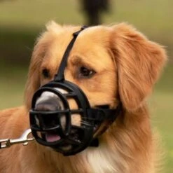 Bozal Baskerville Ultra 2.0 Con Cierres De Plástico 17 Bozal Baskerville Ultra 2.0 Con Cierres De Plástico -Paws Tienda 94515 maulkorb baskerville ultra hs14 2