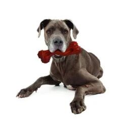 Hueso Nylabone Dura Chew Monster Aroma A Bisonte -Paws Tienda 94898 nylabone durra chew monster hs 05 1