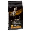 Purina NF Renal Function Veterinary Diets Pienso Para Perros -Paws Tienda 97682 purina proplan veterinarydiets reanlfunction hs 02 9