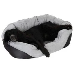 Cama Ortopédica Lazy Para Perros -Paws Tienda 98296 aussiemix fg 4789 5