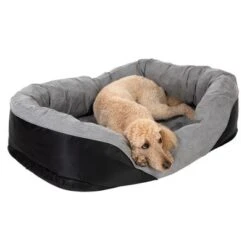 Cama Ortopédica Lazy Para Perros -Paws Tienda 98297 koenigspudel fg 4706 4