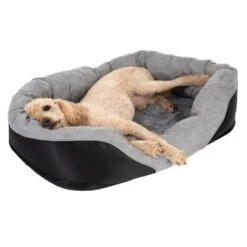 Cama Ortopédica Lazy Para Perros -Paws Tienda 98297 koenigspudel fg 4710 2