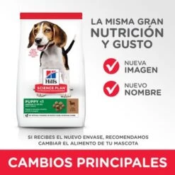 Hill's Science Plan Hill's Puppy <1 Medium Science Plan Con Cordero Y Arroz -Paws Tienda atf11 604335 key changes 0