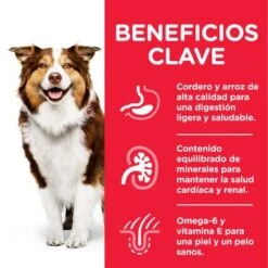 Hill's Science Plan Hill's Mature Adult 7+ Medium Science Plan Con Cordero Y Arroz -Paws Tienda atf8 604379 key benefits 3