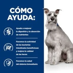 Hill's I/d Low Fat Prescription Diet Comida Húmeda Perros -Paws Tienda atf 607447 how it helps 8
