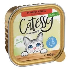 Catessy En Tarrinas 32 X 100 G - Pack Mixto -Paws Tienda catessy chunks beefinsauce 100g 1000x1000 2